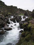 img_0697.jpg