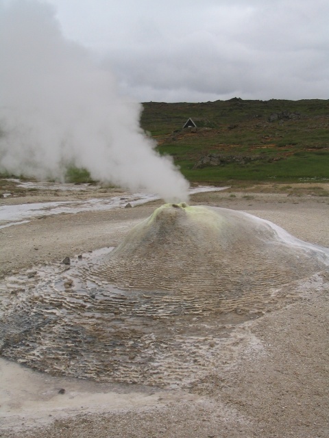 img_0736.jpg