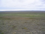 img_0739.jpg