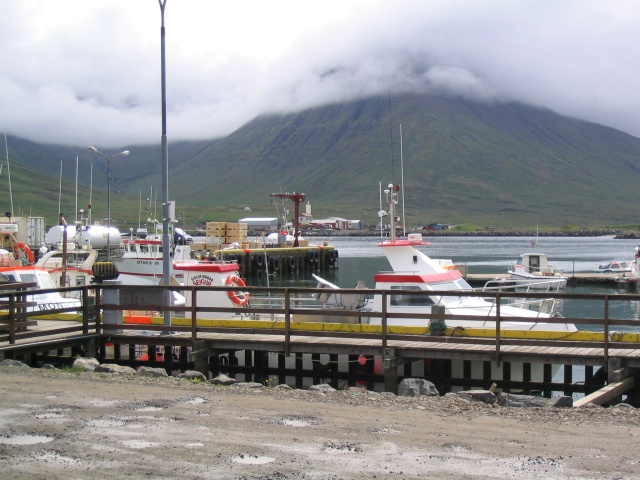 img_0751.jpg
