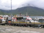 img_0751.jpg