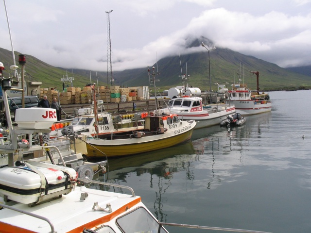 img_0761.jpg