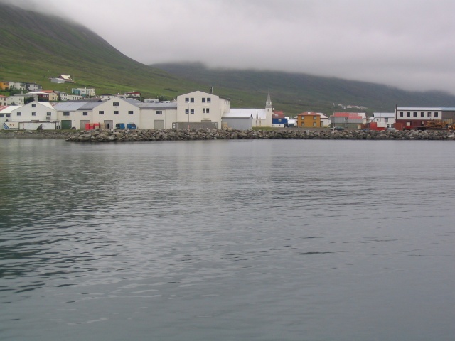 img_0766.jpg