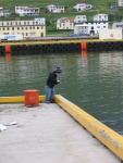 img_0768.jpg