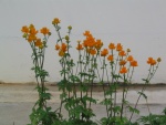 img_0772.jpg