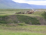 img_0805.jpg
