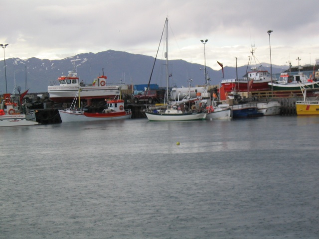 img_0817.jpg