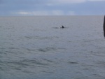 img_0825.jpg