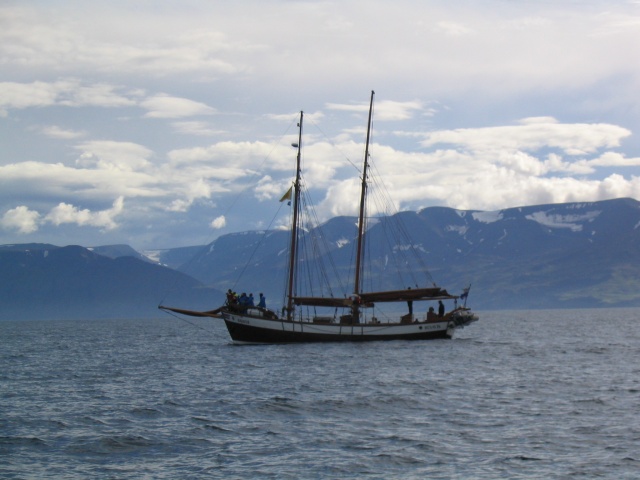img_0826.jpg