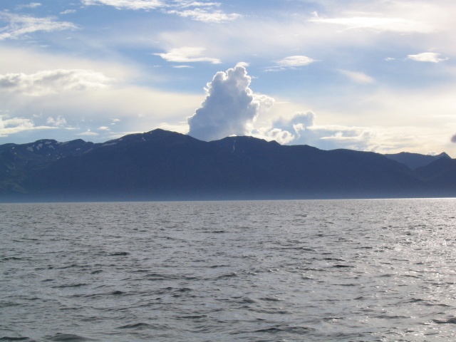 img_0830.jpg