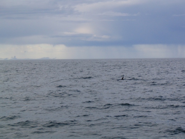 img_0835.jpg