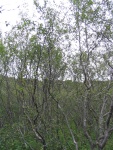 img_0839.jpg