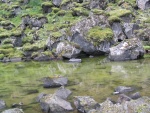 img_0843.jpg