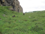 img_0847.jpg