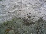 img_0888.jpg