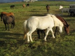 img_0893.jpg