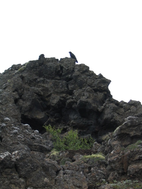 img_0932.jpg