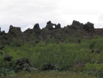 img_0939.jpg