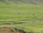 img_1020.jpg