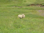 img_1025.jpg