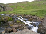 img_1028.jpg