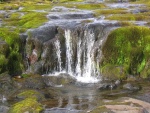 img_1029.jpg
