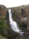 img_1036.jpg