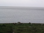 img_1039.jpg