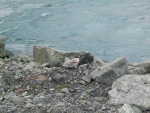 img_1058.jpg