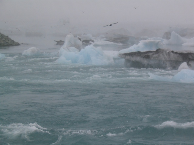 img_1070.jpg