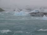 img_1070.jpg