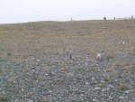 img_1075.jpg