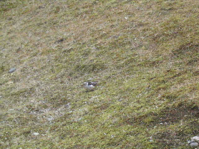 img_1076.jpg