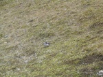 img_1076.jpg