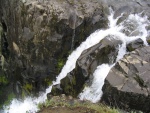 img_1090.jpg