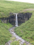 img_1095.jpg