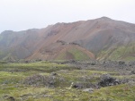img_1121.jpg