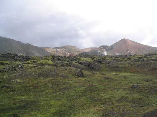 img_1122.jpg