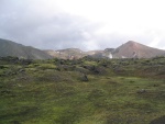 img_1122.jpg