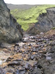 img_1135.jpg