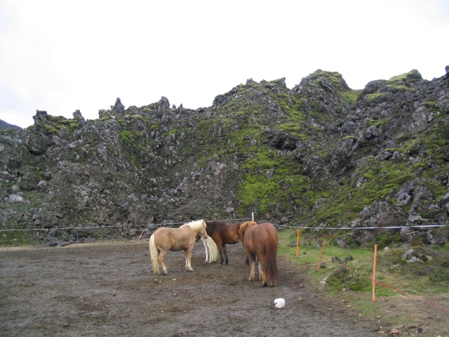 img_1139.jpg