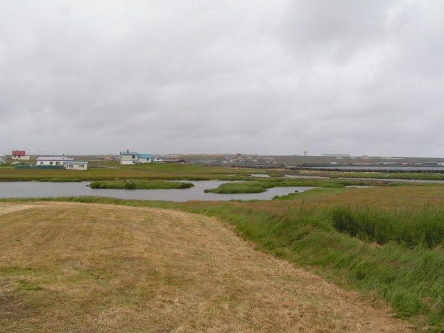 pict2959.jpg