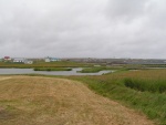pict2959.jpg