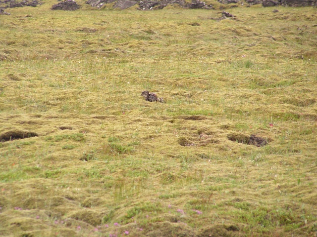 pict3023.jpg