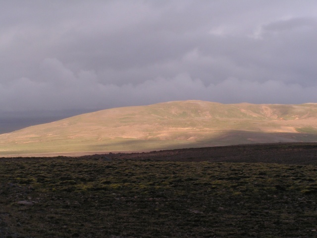 pict3105.jpg