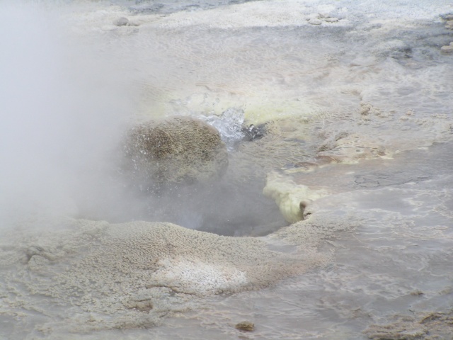 pict3124.jpg