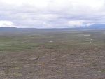 pict3152.jpg