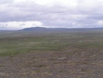 pict3153.jpg