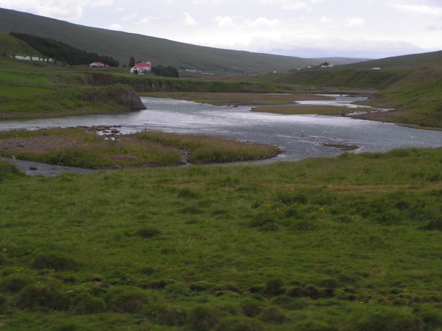 pict3161.jpg