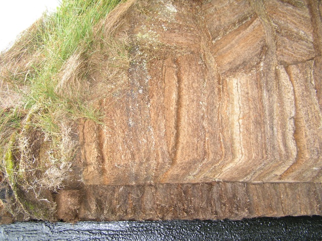 pict3175.jpg